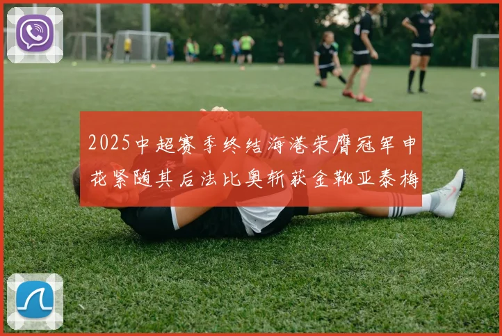 2025中超赛季终结海港荣膺冠军申花紧随其后法比奥斩获金靴亚泰梅州遗憾降级