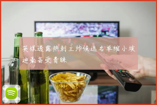 英媒透露热刺主帅候选名单缩小埃迪豪备受青睐