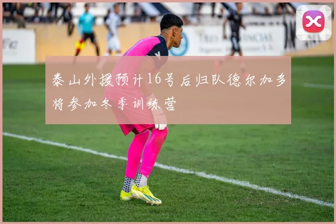 泰山外援预计16号后归队德尔加多将参加冬季训练营