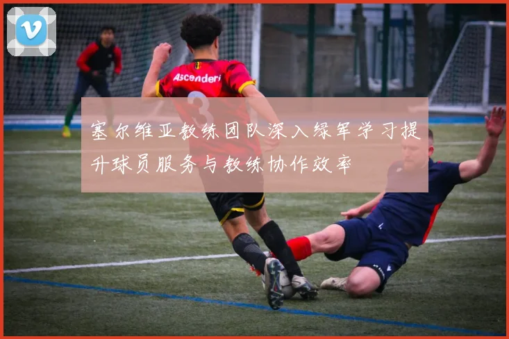 塞尔维亚教练团队深入绿军学习提升球员服务与教练协作效率