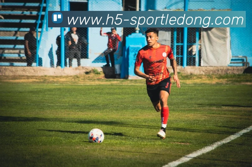 乐动体育品牌故事