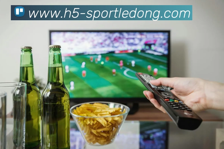 多媒体互动体验